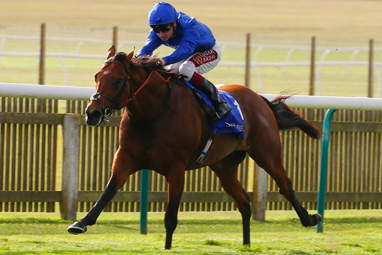 Benbatl winning the Shadwell Joel Stakes (Group 2)