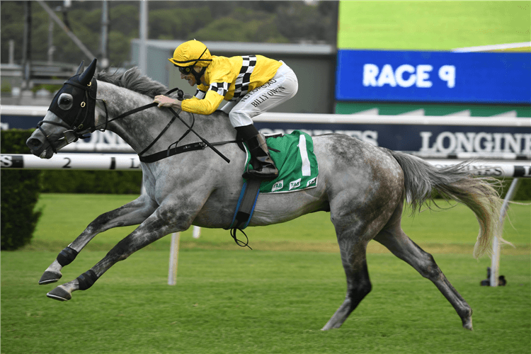 BERDIBEK winning the Tab Handicap.