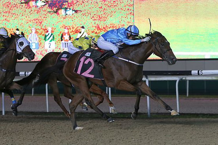 Big Hearted winning the RESTRICTED MAIDEN