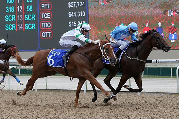 Big Hearted winning at Kranji