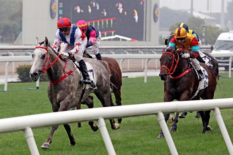Big Party winning the The Bauhinia Sprint Trophy