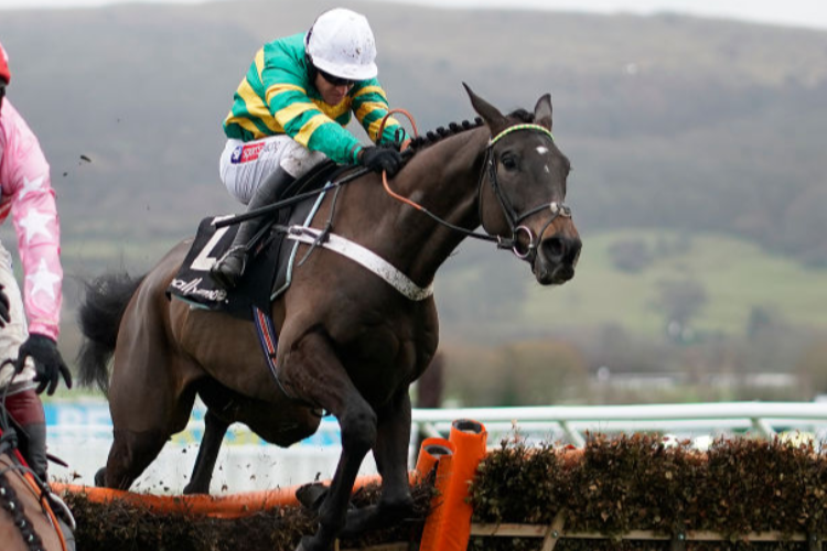 BIRCHDALE winning the Ballymore Novices' Hurdle (Grade 2) (Registered As The Classic Novices' Hurdle) in Cheltenham, England.