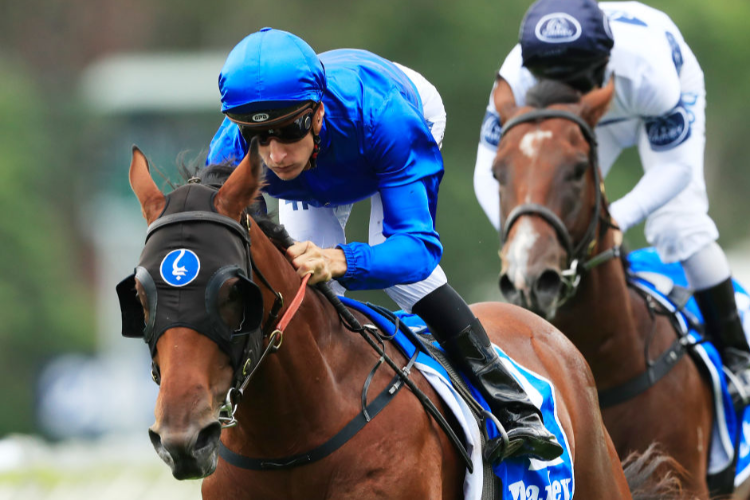 BIVOUAC winning the Darley Lonhro Plate during Sydney Racing at Warwick Farm in Sydney, Australia.