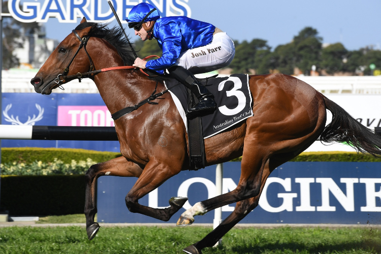 BIVOUAC winning the Sydney Markets Run To The Rose