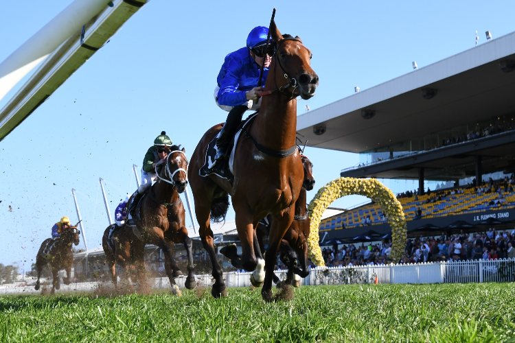 BIVOUAC winning the Sydney Markets Run To The Rose