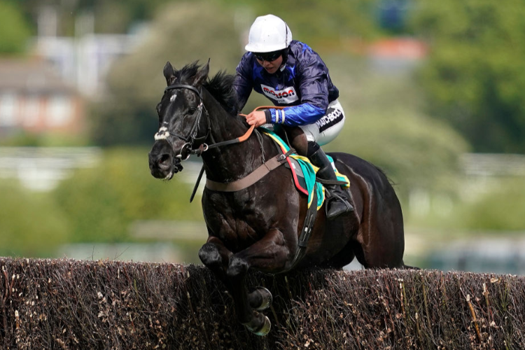 BLACK CORTON winning the bet365 Oaksey Chase at Sandown Park in Esher, England.