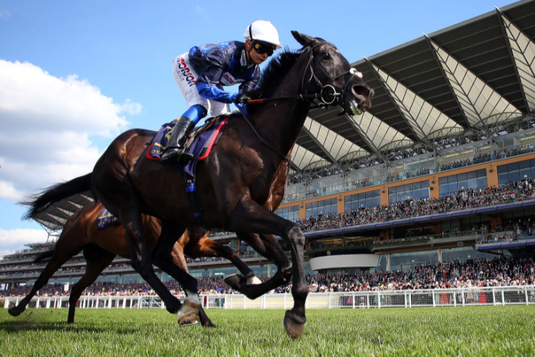 BLACK CORTON running in the Queen Alexandra Stakes (Conditions Race) on day five of Royal Ascot in Ascot, England.