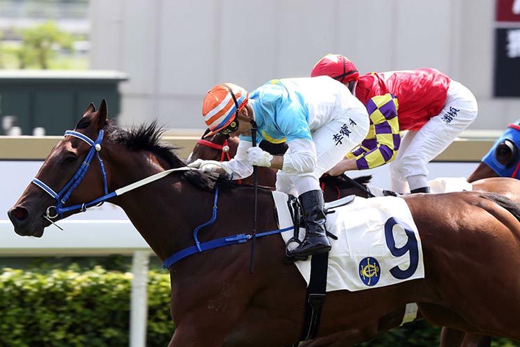 Blazing Partners is a top rater at Sha Tin.