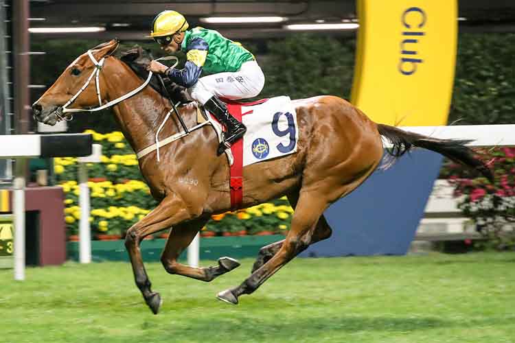 Blitzing winning the Matheson Hcp (C3) Blitzing winning the Matheson Hcp (C3)