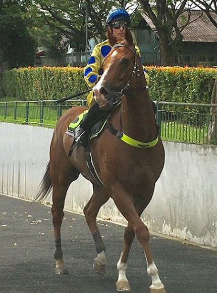 Blizzard (Daniel Moor) after Tuesdays barrier trial second.