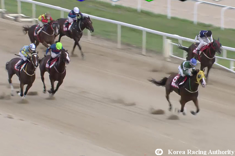 BLUE CHIPPER winning the Owners Cup in Busan, Korea.