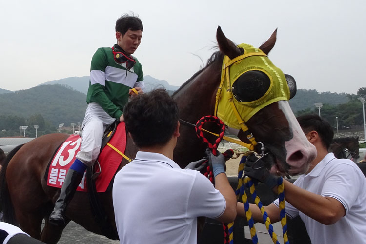 Sprint winner Blue Chipper and jockey YOU Hyun Myung