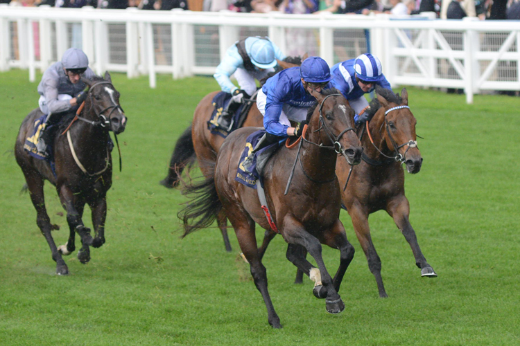 Blue Point winning the King's Stand Stakes (Group 1)