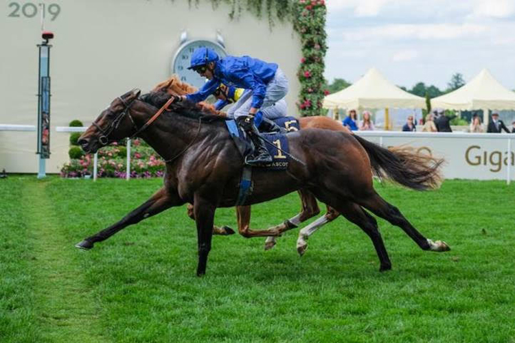 Blue Point winning the Diamond Jubilee Stakes (Group 1)