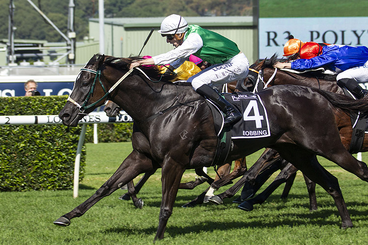 Bobbing winning the Polytrack Prov. C'ships Final