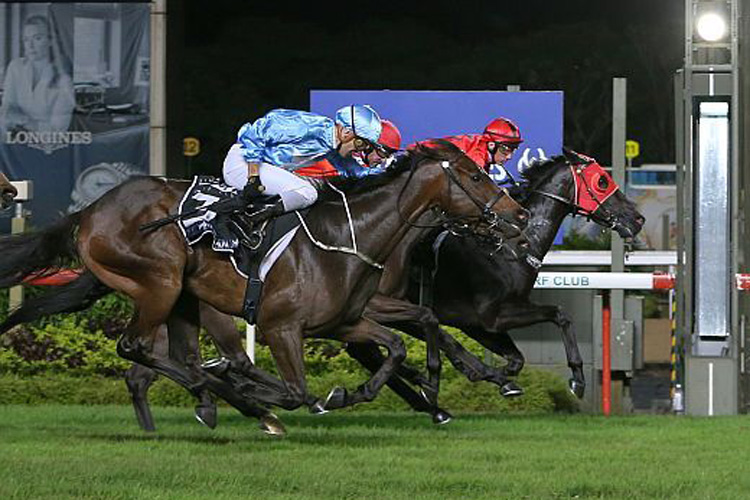 <em>Top Knight (Vlad Duric, blue cap) runs an eye-catching second to winner Bold Thruster (John Powell, red blinkers) <br />in the Group 3 JBBA Singapore Three-Year-Old Sprint on April 5.</em>