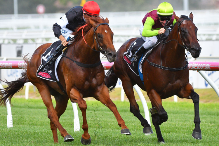BONS AWAY winning the W.J.Adams Stakes during Melbourne Racing at Caulfield in Melbourne, Australia.