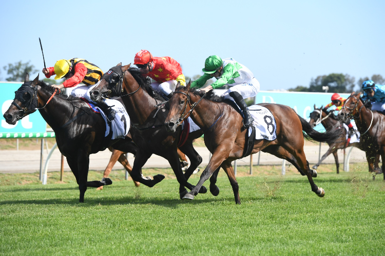 BOOMSARA winning the Magic Millions 3yo Guineas.