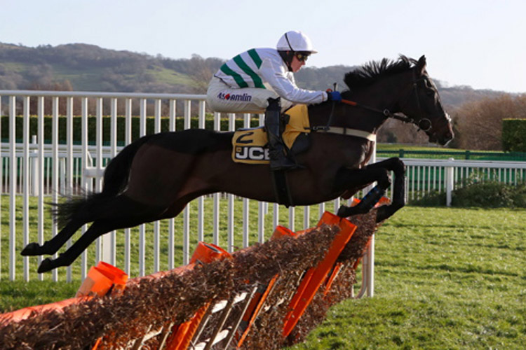 Botox Has winning the JCB Triumph Trial Juvenile Hurdle