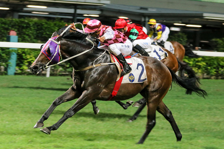 Brave Legend winning the Arc De Triomphe Champions (C3) Brave Legend winning the Arc De Triomphe Champions (C3)