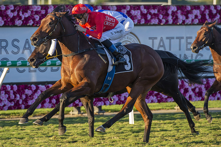 Brave Song winning the S George & Sons W J Healy Stks