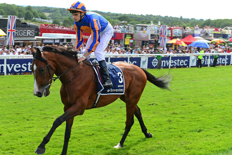 Broome running in the Investec Derby.