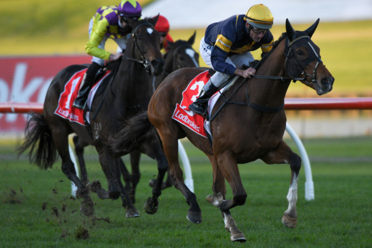 BUFFALO RIVER winning the Ladbrokes Multiverse Hcp during Melbourne Racing at Sandown Lakeside in Melbourne, Australia.