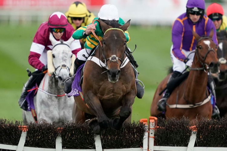 BUVEUR D'AIR winning the BETDAQ Punchestown Champion Hurdle at Punchestown in Naas, Ireland.