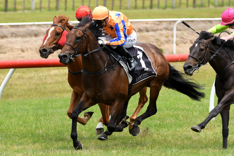 Opie Bosson gets to work as he guides Byzantine to victory at Tauranga