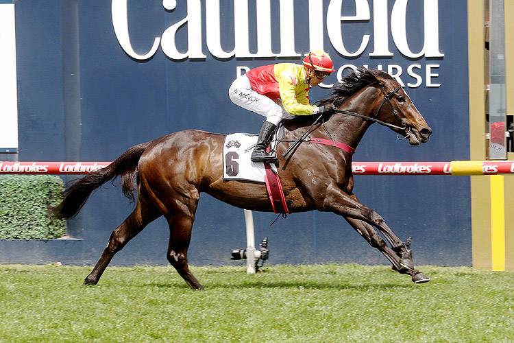 California Zimbol winning the Thoroughbred Club Stakes