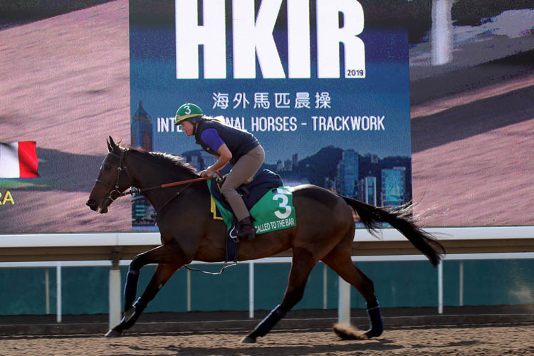 CALLED TO THE BAR - Monday track work for LONGINES Hong Kong Sprint