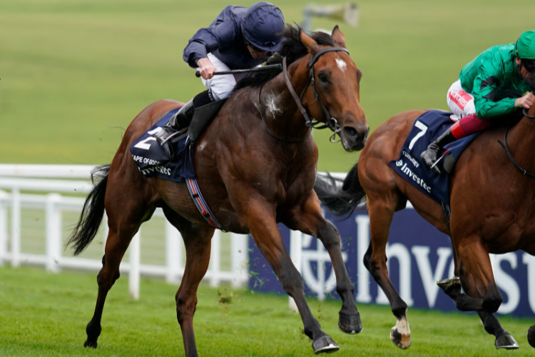 CAPE OF GOOD HOPE winning the Investec Blue Riband Trail in Epsom, England.