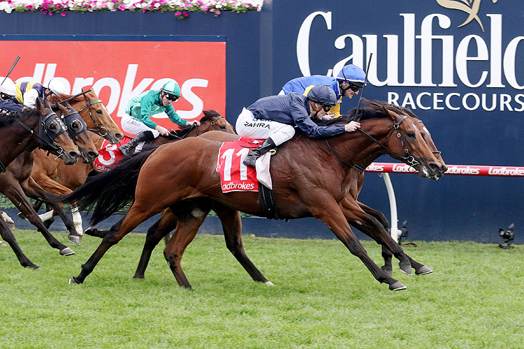 Cape Of Good Hope winning the Ladbrokes Stakes