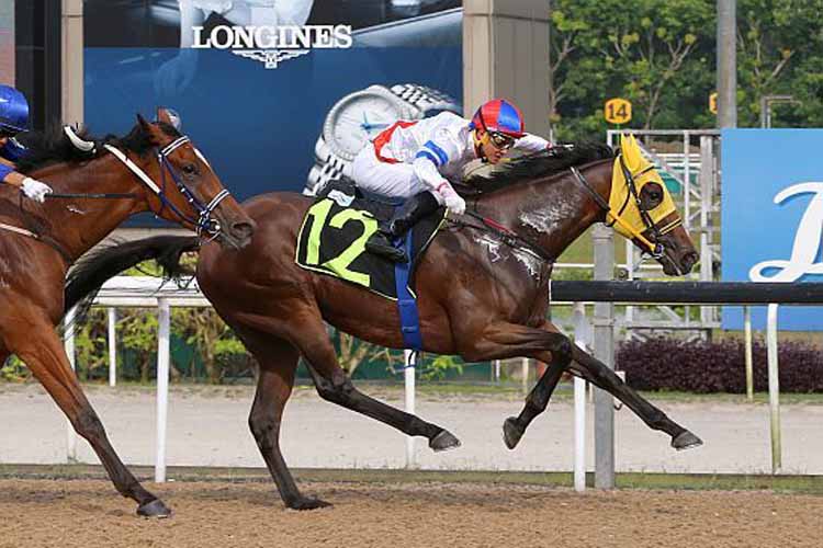 Caribbean Lady winning the CLASS 4 Caribbean Lady winning the CLASS 4