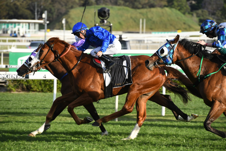 Cascadian winning The Star Mile.