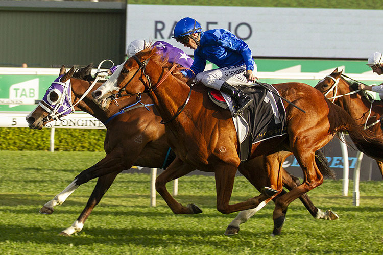 Cascadian winning the The Star Mile