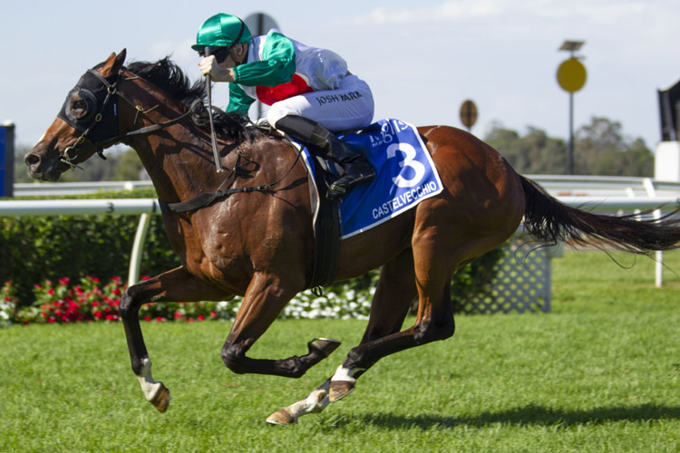 Castelvecchio winning the Inglis Millennium - 2yo R.L.