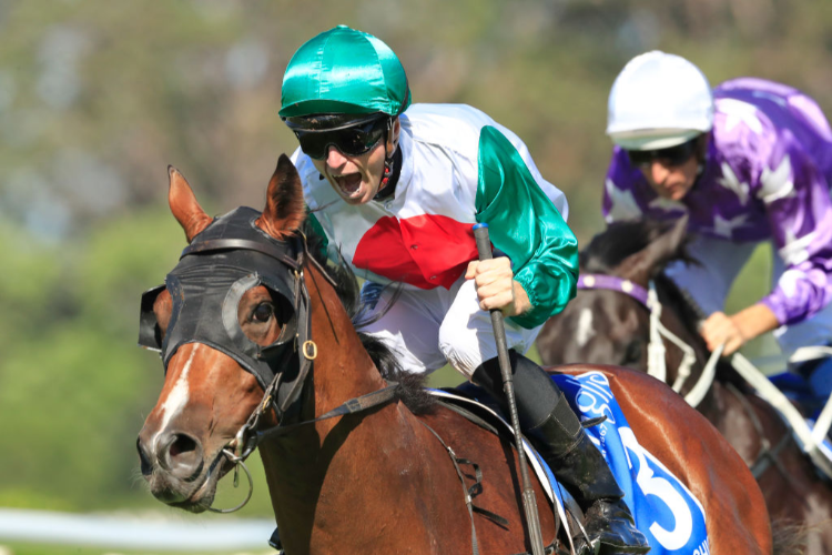 CASTELVECCHIO winning the Inglis Millennium during Sydney Racing at Warwick Farm in Sydney, Australia. CASTELVECCHIO winning the Inglis Millennium during Sydney Racing at Warwick Farm in Sydney, Australia.