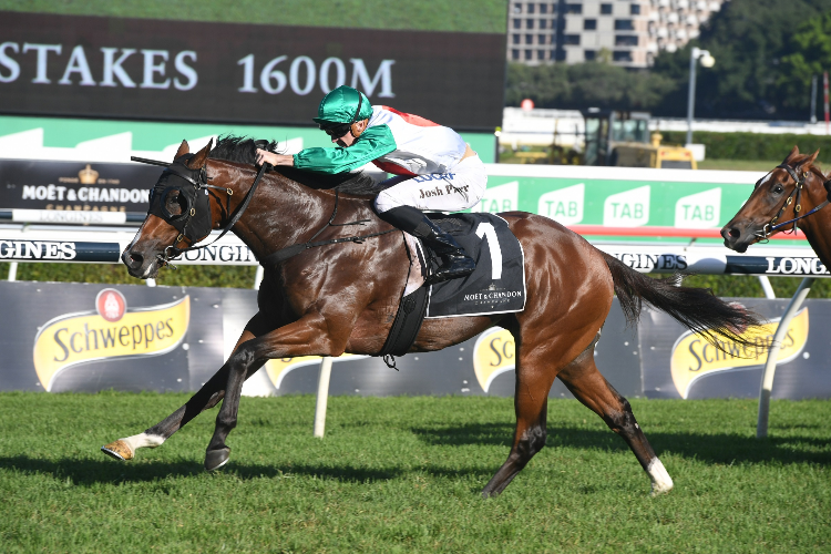 CASTELVECCHIO winning the Moet & Chandon Champagne Stakes.