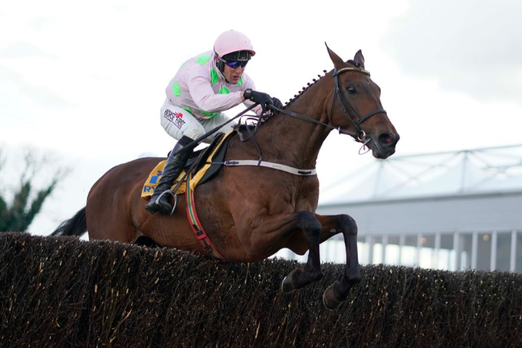 CHACUN POUR SOI winning the Ryanair Novice Chase at Punchestown in Naas, Ireland.