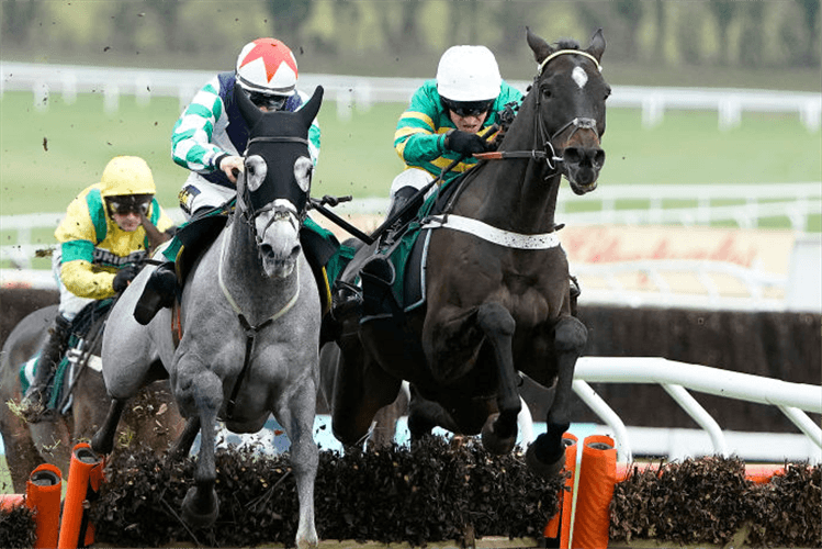 CHANTRY HOUSE winning the British EBF 'National Hunt' Novices' Hurdle in Cheltenham, England.