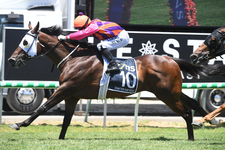 CHAPTER AND VERSE winning the Racing Qld $1m Magic Millions Open. CHAPTER AND VERSE winning the Racing Qld $1m Magic Millions Open.