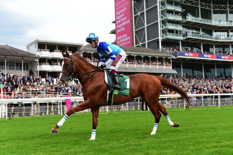 CHEVAL GRAND running in the Juddmonte International Stakes.