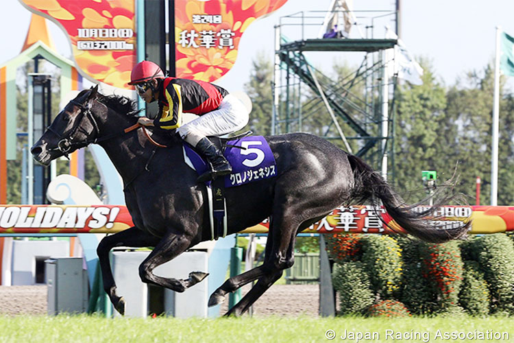 CHRONO GENESIS winning the Shuka Sho in Kyoto, Japan.