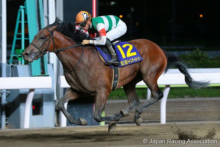 CHRYSOBERYL was the winner of a Champions Cup.