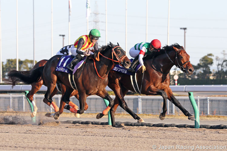 CHRYSOBERYL winning the Champions Cup in Chukyo, Japan.