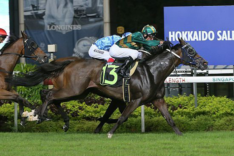 Circuit Mission winning the STEPITUP 2013 STAKES CLASS 3