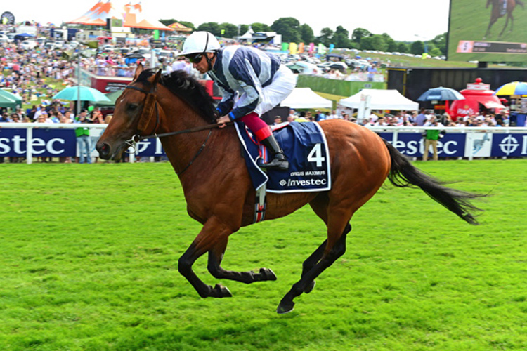 Circus Maximus running in the Investec Derby Stakes (Group 1)