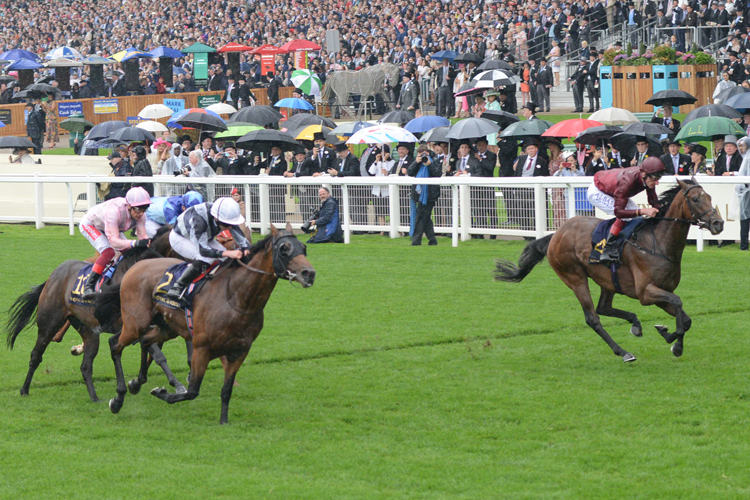 Circus Maximus winning the St James's Palace Stakes (Group 1)