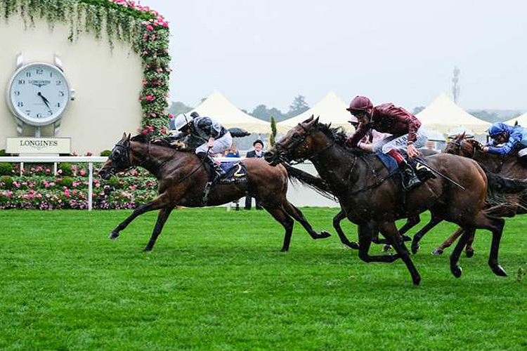 Circus Maximus winning the St James's Palace Stakes (Group 1)
